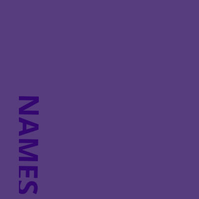 LSGA - VARSITY JACKET - PURPLE  GLITTER NAME Design